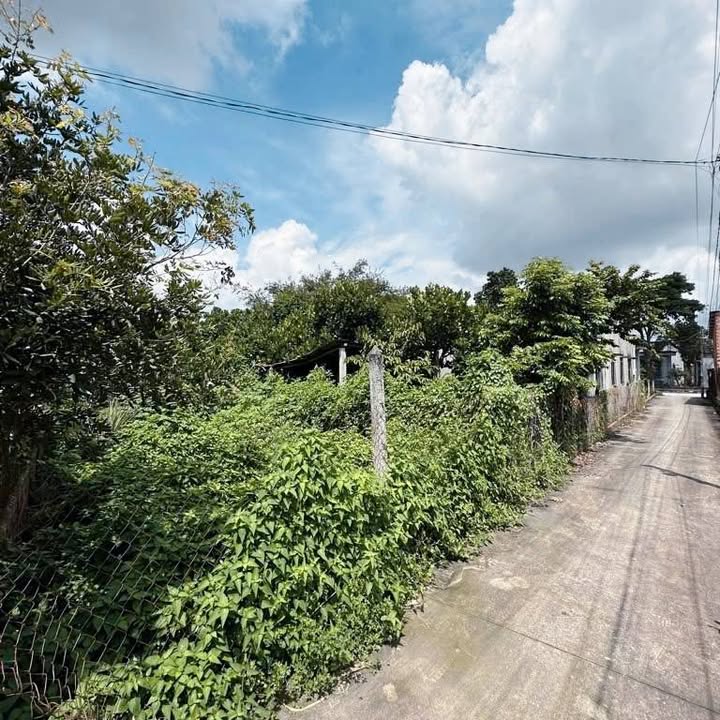 Đất Tân Phú Trung Củ Chi 118m² giá chỉ 1.35 tỷ - Sổ hồng chính chủ!