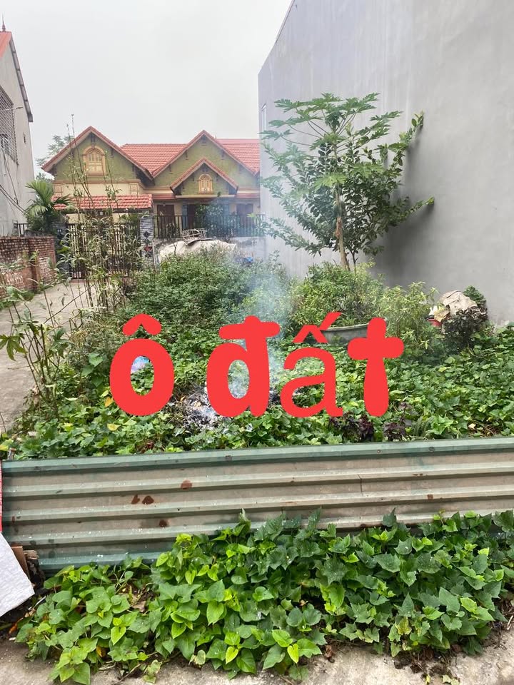 Đất nền chính chủ tại Đồng Cương, Yên Lạc, 104m² - Đầu tư sinh lời ngay!