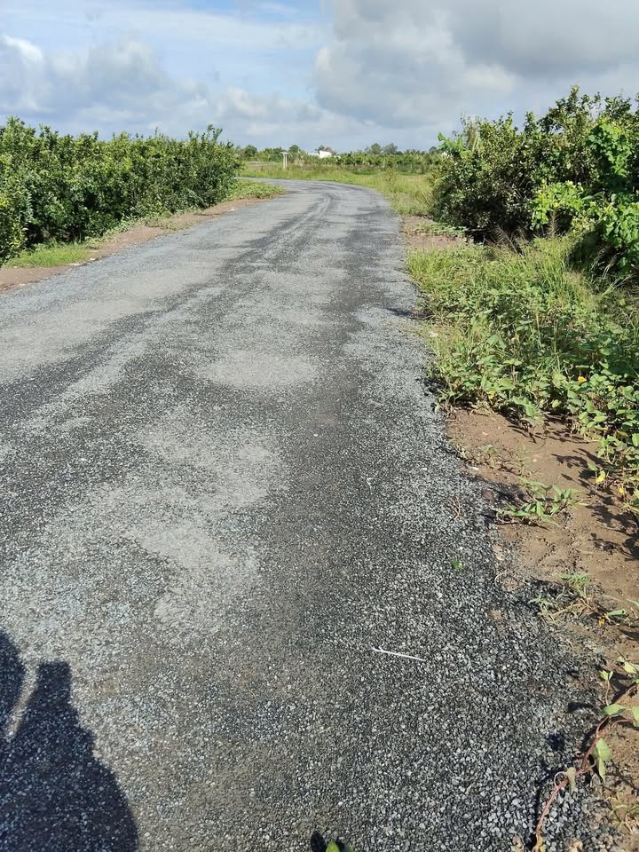 Đất nông nghiệp Nhơn Phú, Vĩnh Long 6800m² giá 620 triệu - Thương lượng tốt!