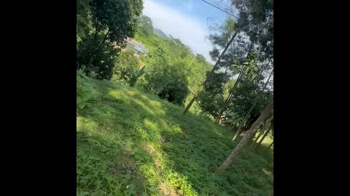 Đất thổ cư tại Đoan Hùng, Phú Thọ 623m² giá 1.75 tỷ - Mặt tiền rộng 21.5m!