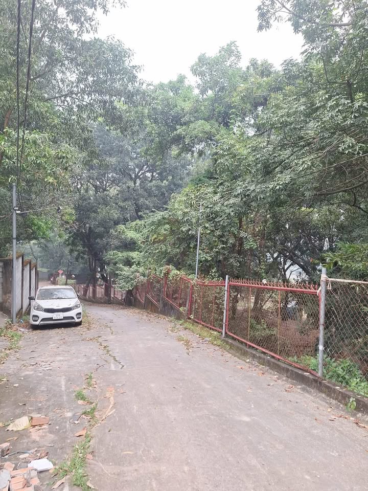 Đất thổ cư 184m² tại Ngũ Phúc, Hố Nai 3 - Chính chủ bán chỉ 1.5 tỷ!