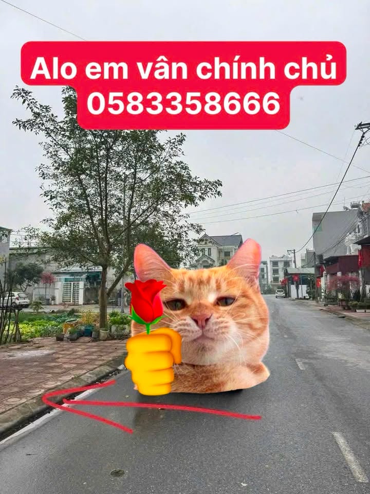 Đất nền xã Liên Bão, Tiên Du 82m² - Sổ đỏ chính chủ, giá tốt nhất thị trường!