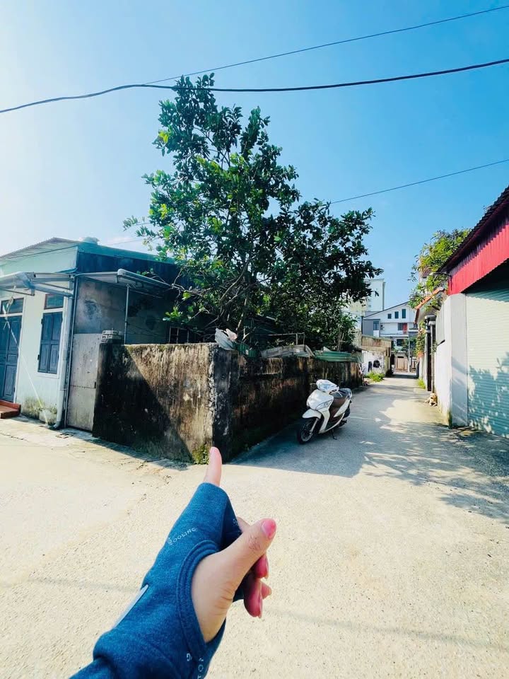 Đất nền lô góc Nghi Phú 54m² giá 3 tỷ - Cơ hội đầu tư vàng!