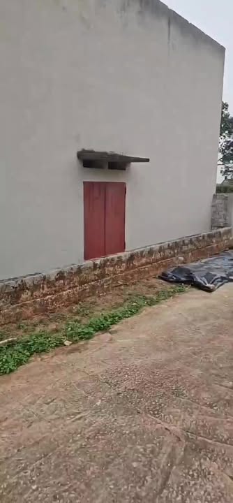 Đất nền Đại Lâm Lạng Giang 200m² giá chỉ 600 triệu - Đầu tư sinh lời ngay!