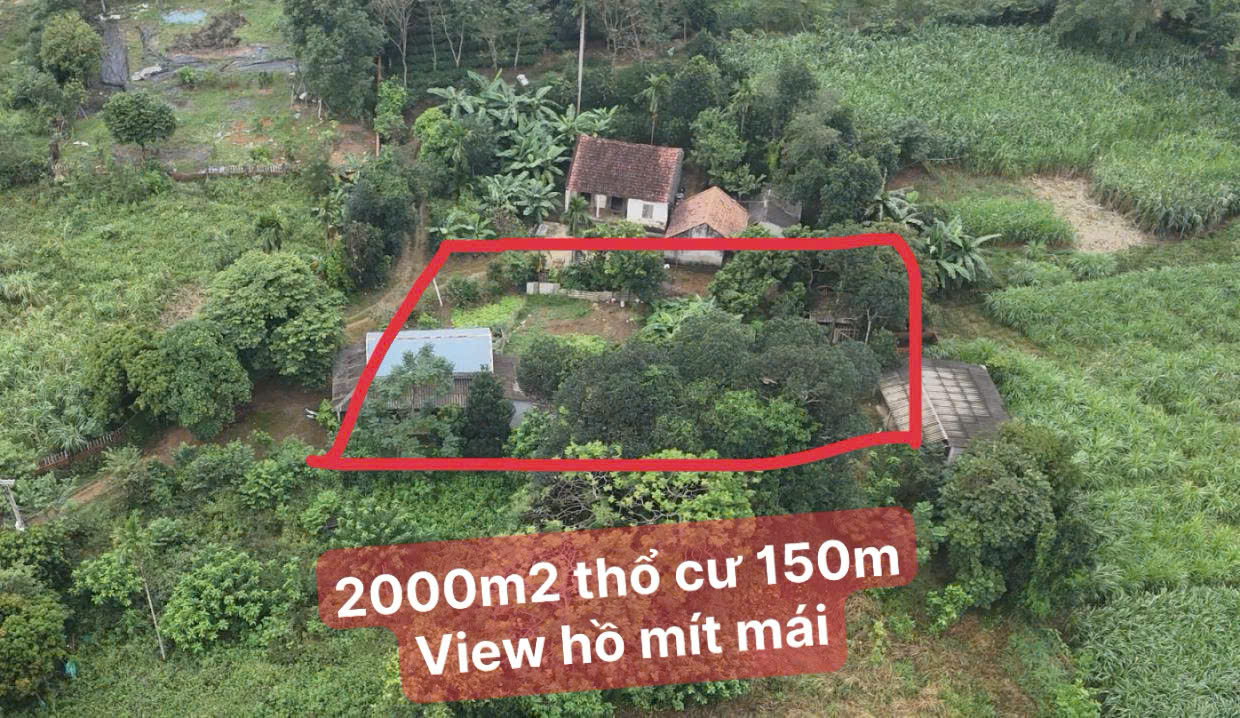 Đất nền Yên Bài - Ba Vì 2000m² giá 11 tỷ - Đầu tư sinh lời lý tưởng!