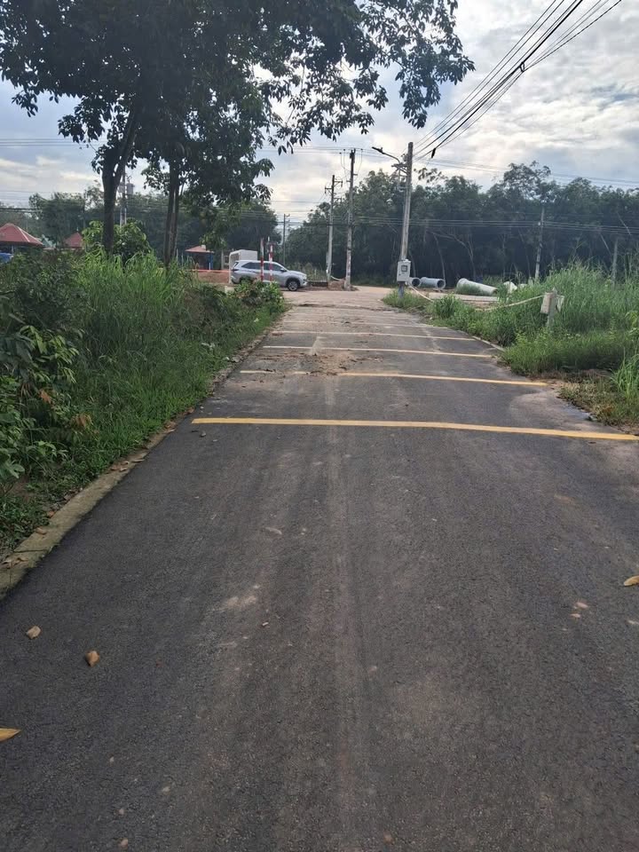 Đất nền Long Nguyên, Bến Cát 98m² - Giá thỏa thuận, cơ hội đầu tư tuyệt vời!