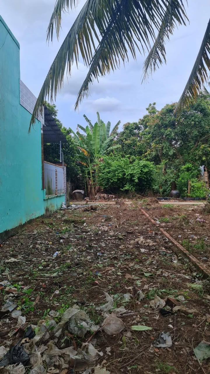 Đất nền thổ cư Phú Hưng Bến Tre 132.8m² giá 495 triệu - Đầu tư sinh lời ngay!