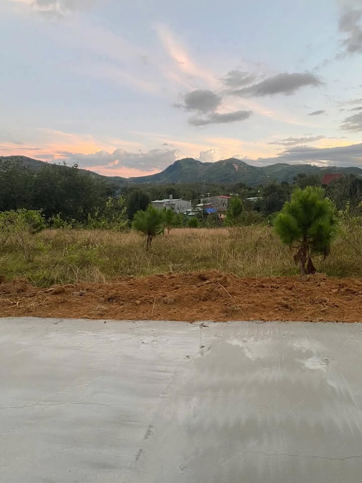 Đất nền Chư Hreng 260m² giá chỉ 2xx triệu - Đường ô tô vào tận nơi!