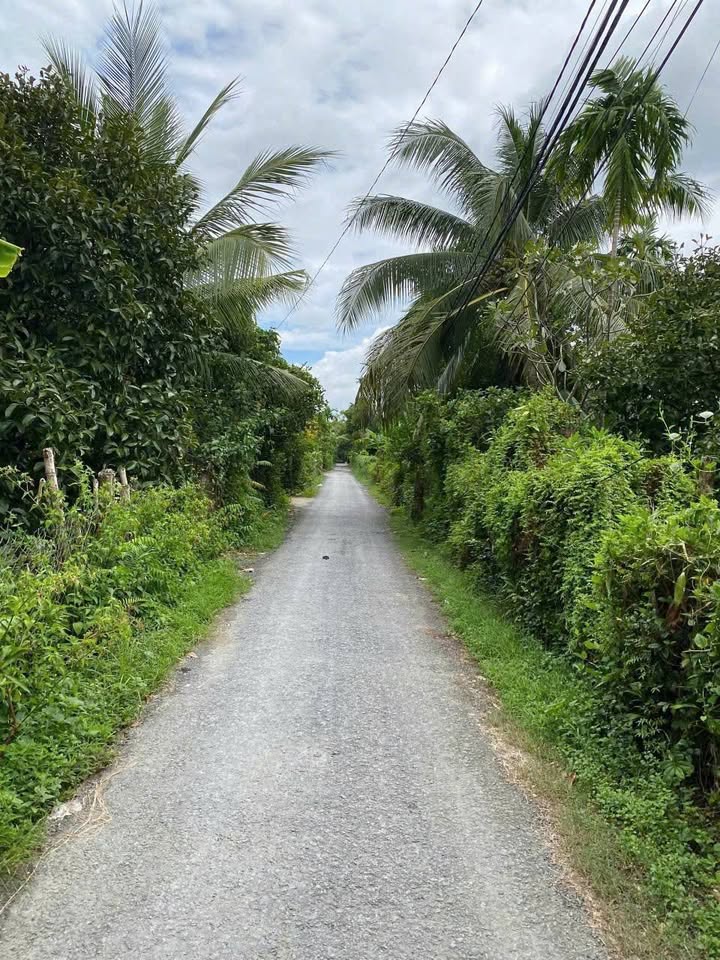 Đất vườn cây trái Bình Mỹ 1000m² giá 3.2 tỷ - Cơ hội đầu tư hấp dẫn!