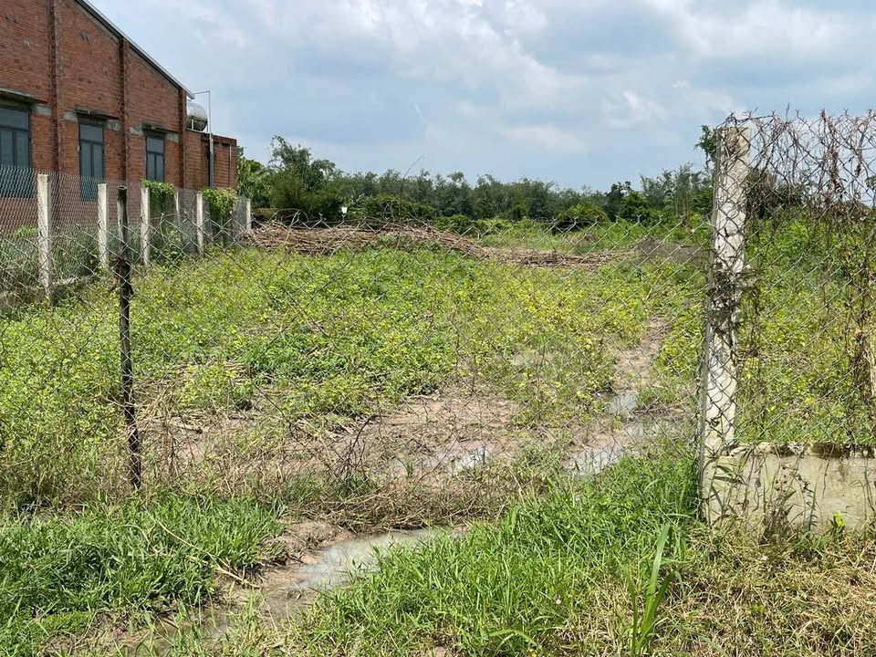 Đất nền Trảng Bàng 263.25m² giá 950 triệu - Đầu tư sinh lời ngay!