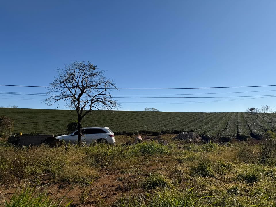 Đất nền Vân Sơn Mộc Châu 132m² giá 1.9 tỷ - Đầu tư sinh lời ngay!