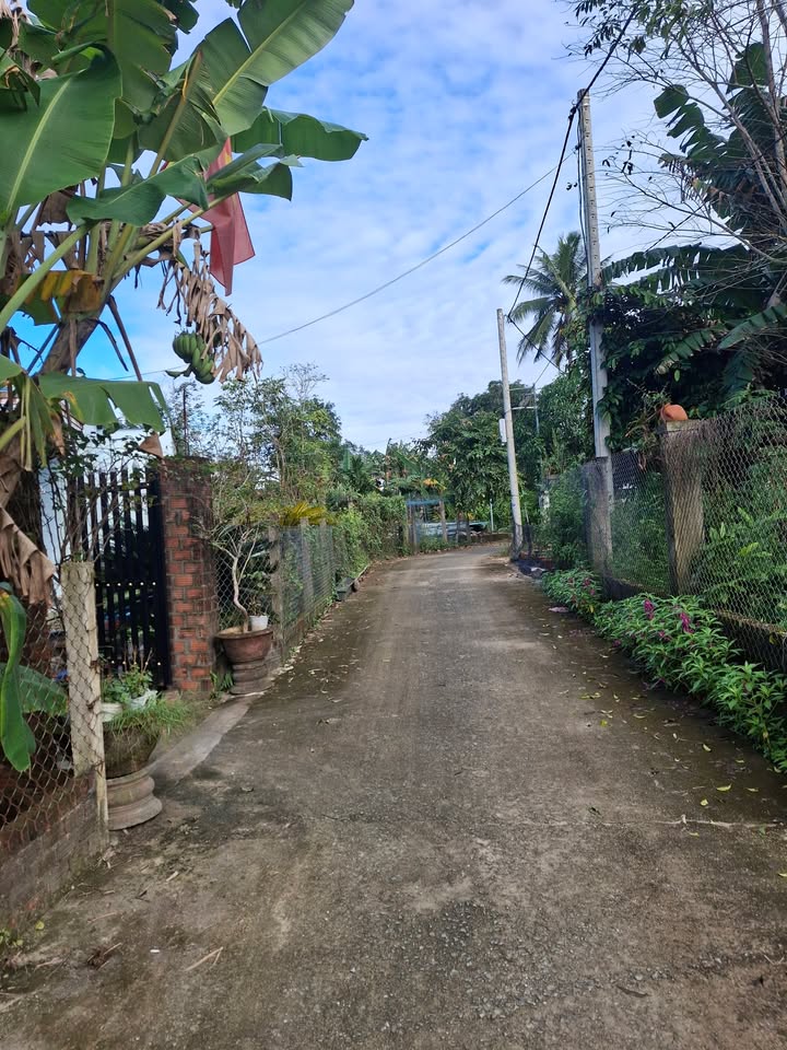 Đất nền Hòa Phong Đà Nẵng 138m² giá chỉ 9xx triệu - Đầu tư sinh lời ngay!