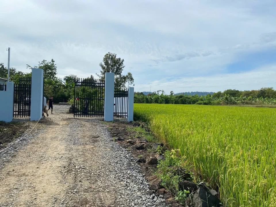 Nhà vườn đẹp tại Gia Canh, Định Quán, Đồng Nai 1121m² - Giá chỉ 1.1 tỷ thương lượng!