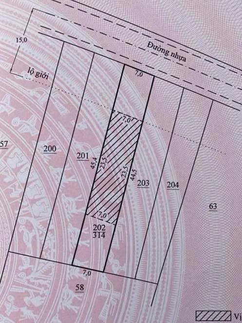 Đất nền Cam Ly Đà Lạt 266m² giá 1.2 tỷ - Cơ hội đầu tư tuyệt vời!