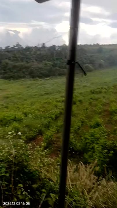 Đất nền Liên Hà, Lâm Hà 1.4ha giá 5 tỷ - Cơ hội đầu tư lý tưởng!