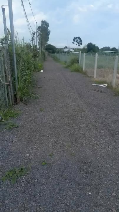 Đất nền Phước Hội, Đất Đỏ 360m² giá 1.2 tỷ - Cơ hội đầu tư hiếm có!