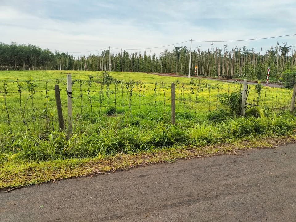 Đất nền Bà Rịa - Vũng Tàu 5600m² giá 5.2 tỷ - Mặt tiền đường nhựa thông thoáng!