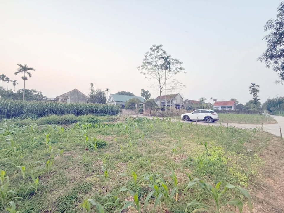 Đất thổ cư 102.3m² tại phường Âu Cơ, Thị xã Phú Thọ - Giá 500 triệu, ô tô vào tận đất!