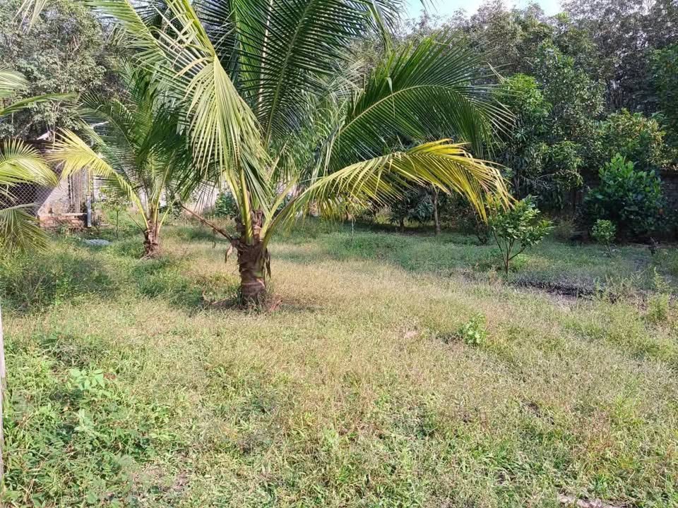 Nhà vườn Bình Lợi, Vĩnh Cửu 1000m² giá 2.5 tỷ - Sổ đỏ chính chủ