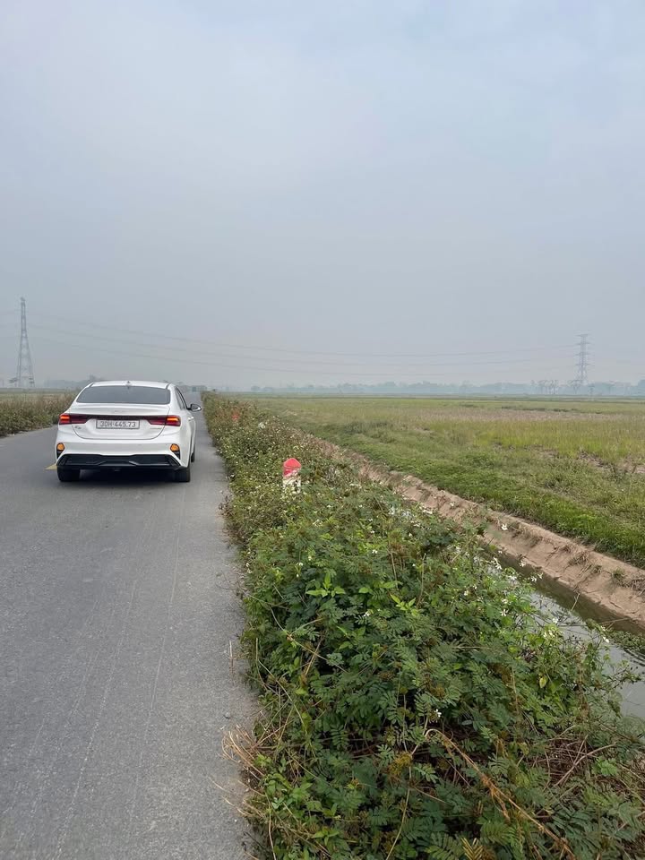 Đất nông nghiệp Chương Mỹ 1560m² giá 1.656 tỷ - Cơ hội đầu tư hấp dẫn!