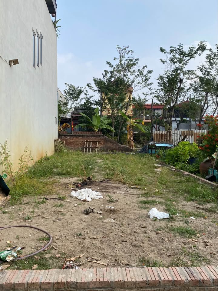 Mảnh Đất Nền 80m² Xã Thư Lâm - Gần Trường Học, Ô Tô Vào Tận Nhà!