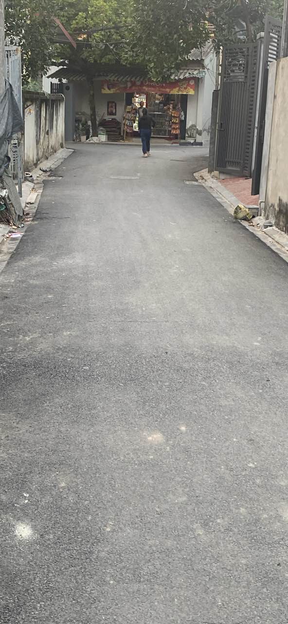 Đất nền Đại Mạch, Đông Anh 55m² giá 3 tỷ - Hợp xây ở và đầu tư!