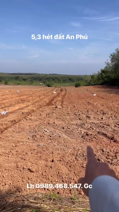 Đất nền 5,3ha tại Minh Đức, Hớn Quản - Đầu tư sinh lời, giá chỉ 1 tỷ/ha!