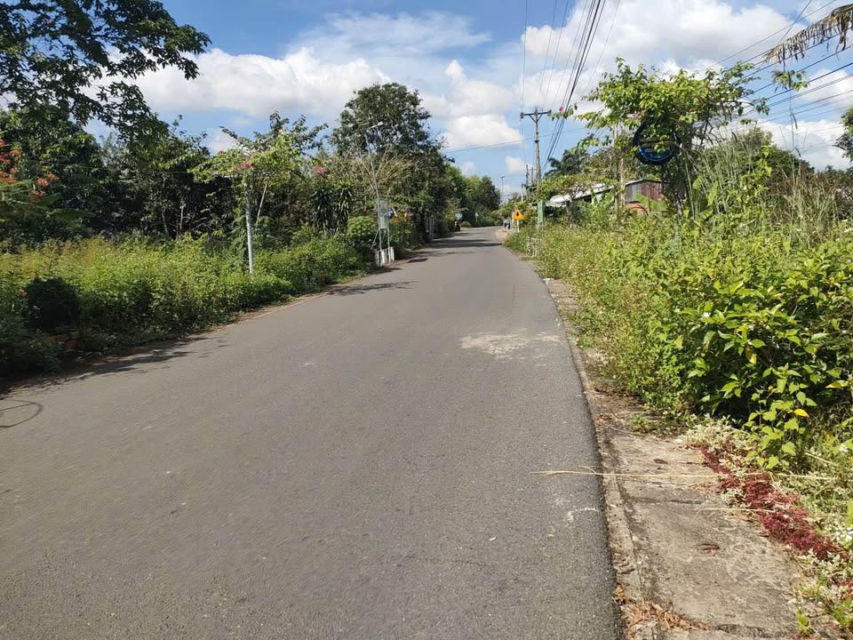 Đất thổ cư Phú Hòa, Định Quán 244m² giá 1.2 tỷ - Đường nhựa 26m, kinh doanh thuận lợi!