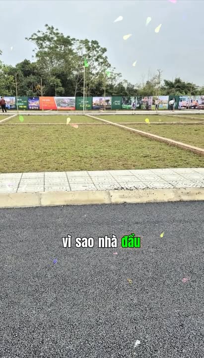 Đất nền Tỉnh lộ 446, Phú Cát, 100m² giá 4.5 tỷ - Vị trí vàng đầu tư!