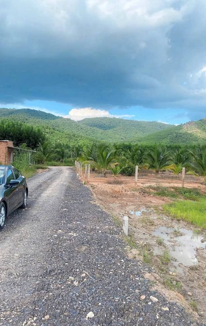 Đất nền Khánh Đông - Khánh Vĩnh 791m² giá chỉ 219 triệu - Cơ hội đầu tư hấp dẫn!