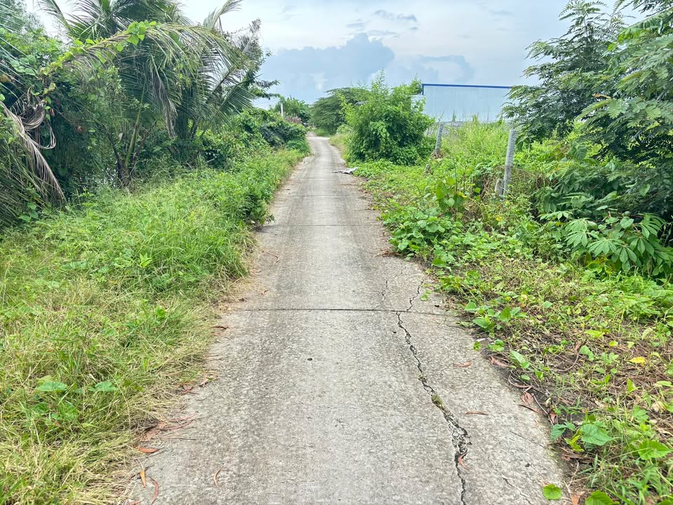 Đất nền Châu Thành, Kiên Giang 135m² - Sổ hồng chính chủ, giá chỉ 200 triệu!