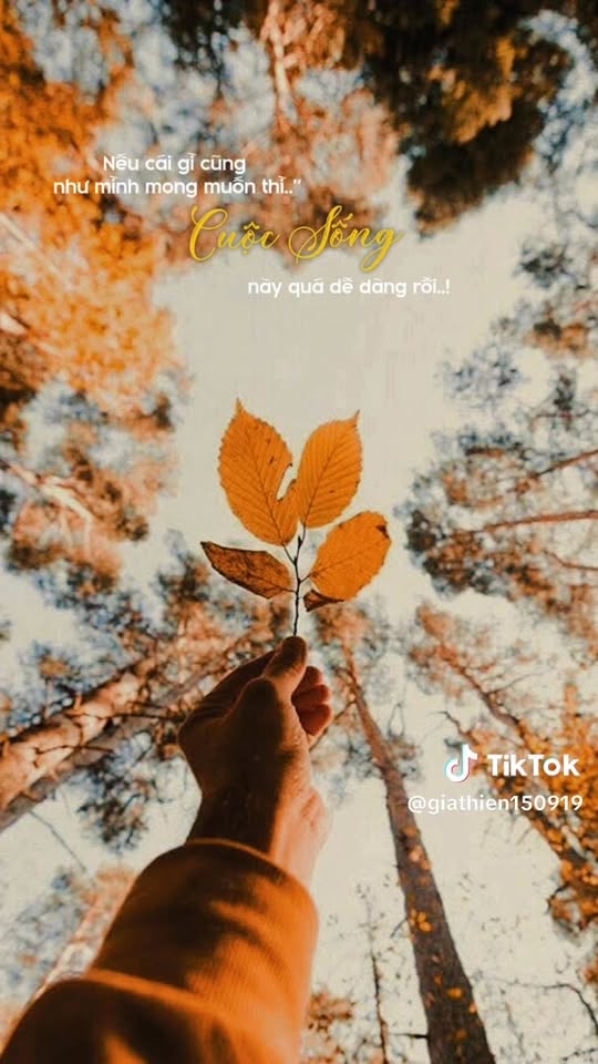 Đất nền Tân Long Hội 1353.6m² giá 2.38 tỷ - Sổ hồng chính chủ, pháp lý rõ ràng!