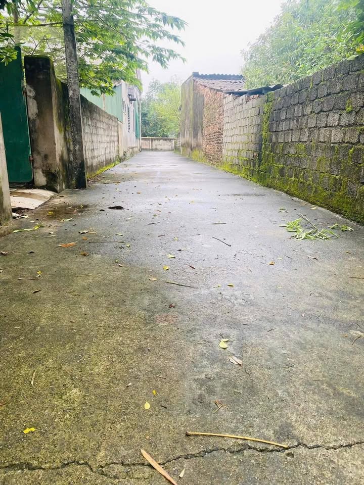 Đất nền khu phố 8A Xuân An 115m² giá chỉ 880 triệu - Vị trí thuận lợi gần đường Nguyễn Nghiễm