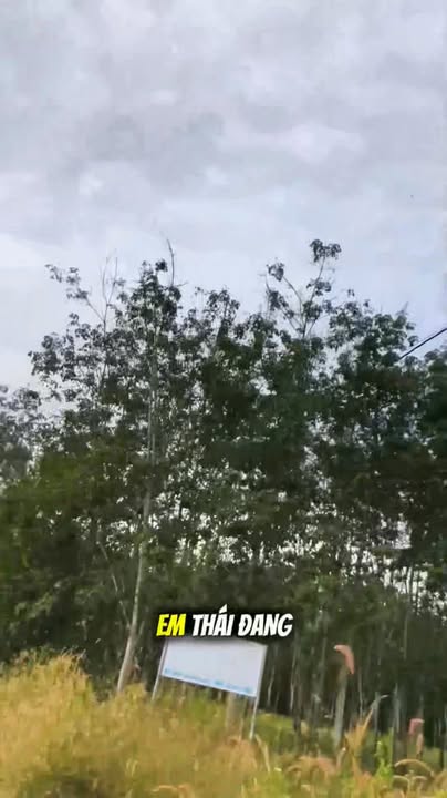 Đất nền Lai Uyên Bàu Bàng 165m² giá 699 triệu - Sổ đỏ chính chủ!