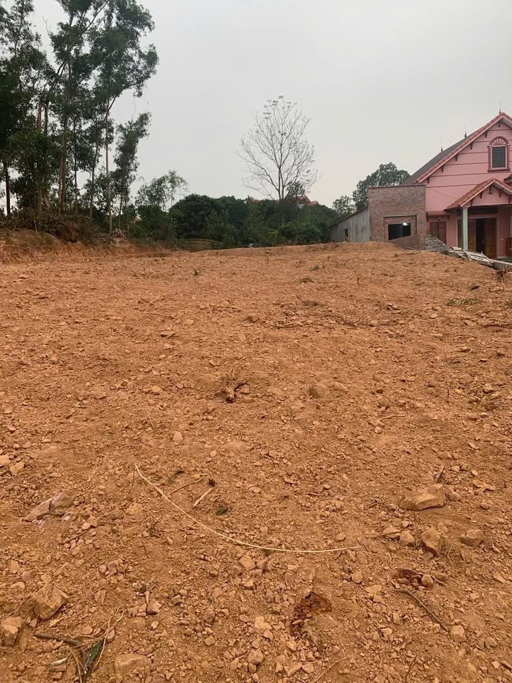 Đất thổ cư 460m² Thôn Tam Sơn, Yên Dũng - Giá thỏa thuận, Đầu tư sinh lời!