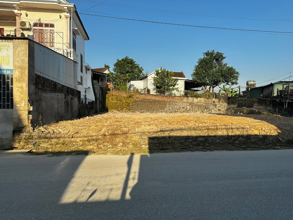 Đất nền mặt đường tỉnh lộ 534, Đô Lương, Nghệ An 190m² - Cơ hội đầu tư hấp dẫn!