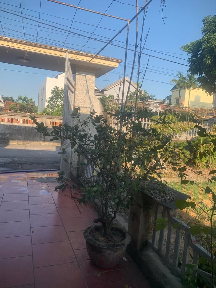 Đất nền Kim Chung, Đông Anh 47m² giá 3 tỷ - Đầu tư sinh lời ngay!