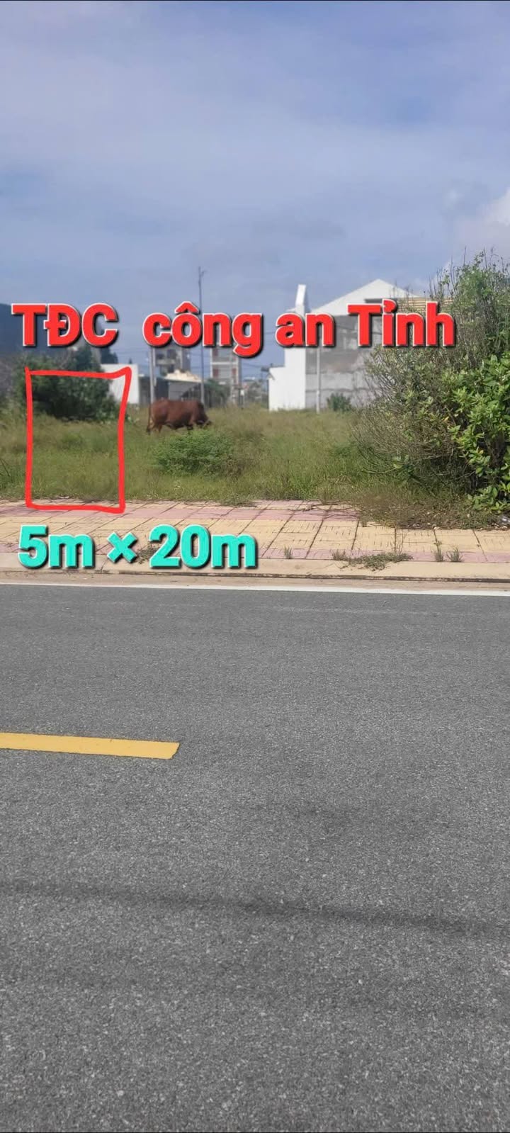 Đất thổ cư phường Mỹ Bình, Phan Rang 100m² giá 2.3 tỷ - Cơ hội đầu tư tuyệt vời!