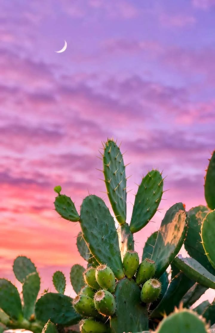 Cho thuê mặt tiền đường Nguyễn Văn Linh, Cần Thơ 100m² giá 18 triệu - Thương lượng giá tốt!