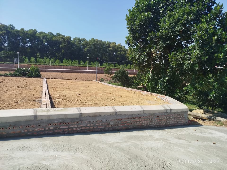 Đất mặt tiền 5m tại Cẩm An, Ba Vì 100m² giá 600 triệu - Cơ hội đầu tư tuyệt vời!