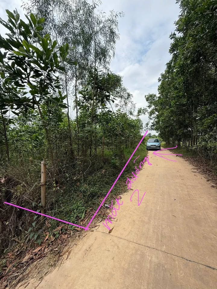 Đất nền Bắc Sơn, Sóc Sơn 2670m² giá 5 triệu/m² - Cơ hội đầu tư sinh lời!