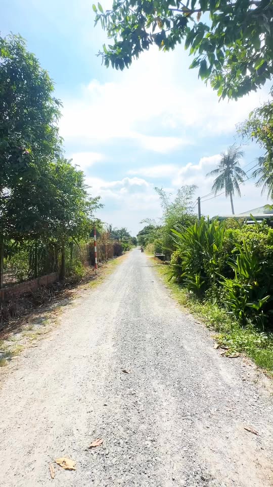 Đất nền Ninh Thạnh, Tây Ninh 160m² giá 600 triệu - Vị trí đẹp, sổ đỏ chính chủ!