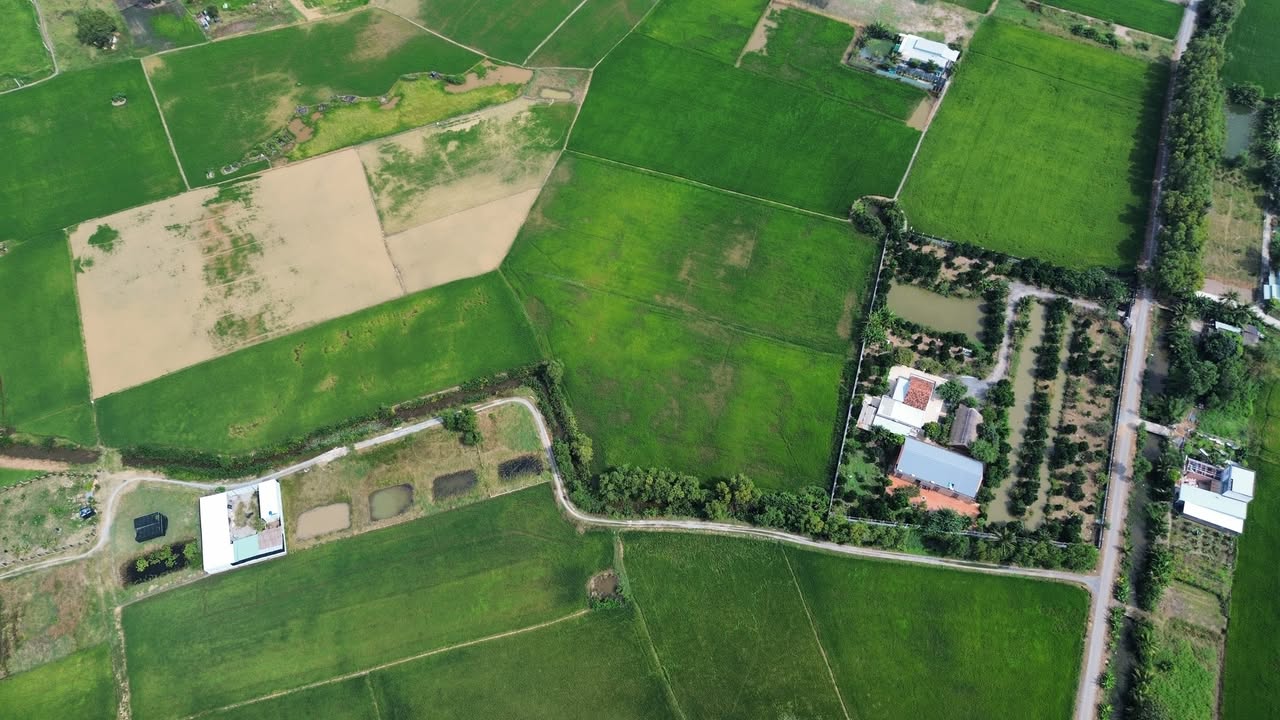 Đất lúa 4400m² xã Thuận Thành, Cần Giuộc - Cơ hội đầu tư tuyệt vời!