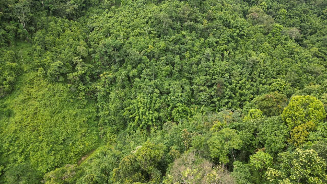 Đất Farm 7,7ha tại Đổng Xá, Na Rì, Bắc Kạn - Phù hợp trồng cây và chăn nuôi