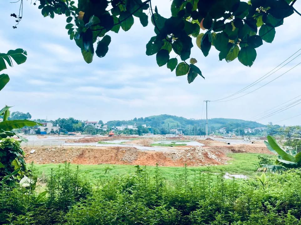 Đất nền phường An Tường 160m² - Vị trí đẹp, tiềm năng phát triển!