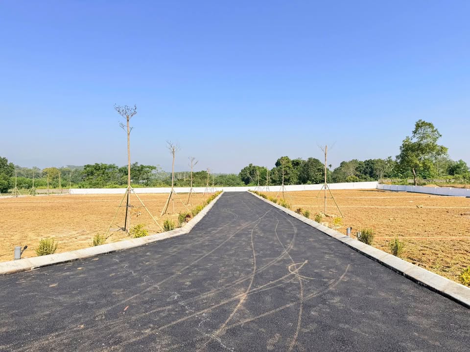 Đất nghỉ dưỡng Cư Yên 460m² giá 2 tỷ - View núi đẹp, sổ đỏ chính chủ!