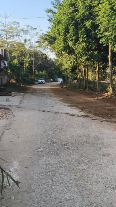 Đất thổ cư 115m² tại xã Cẩm Khê, giá 800 triệu - Đầu tư tiềm năng!