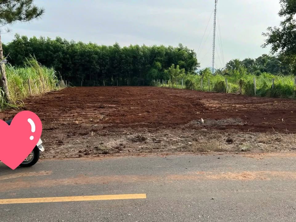 Đất nền Nguyễn Huệ Đất Đỏ 707m² giá 3.2 tỷ - Gần biển Phước Hải!