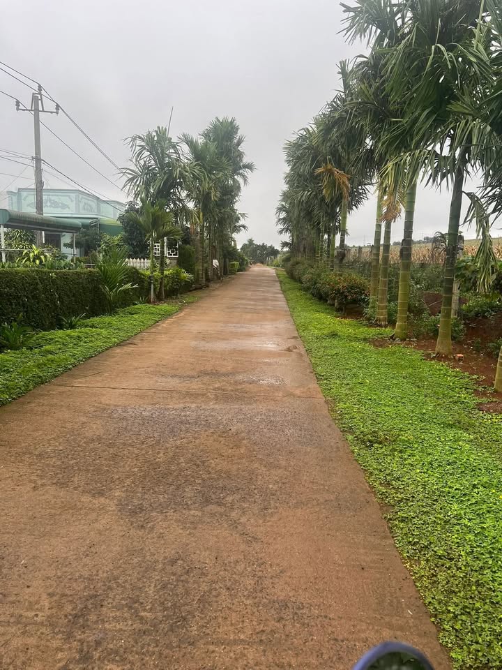 Đất thổ cư 360m² tại Thuận Sơn, Đắk Nông giá chỉ 1.2 tỷ - Thương lượng tốt!