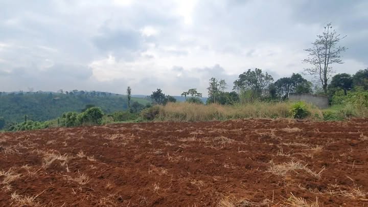 Đất nền 2.8 ha tại Nâm N'Jang, Đắk Song - Giá 4.5 tỷ - Cơ hội đầu tư hiếm có!